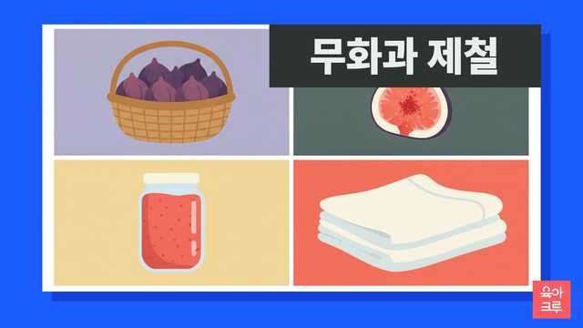 무화과 제철 일러스트, 바구니에 담긴 무화과와 반으로 자른 무화과