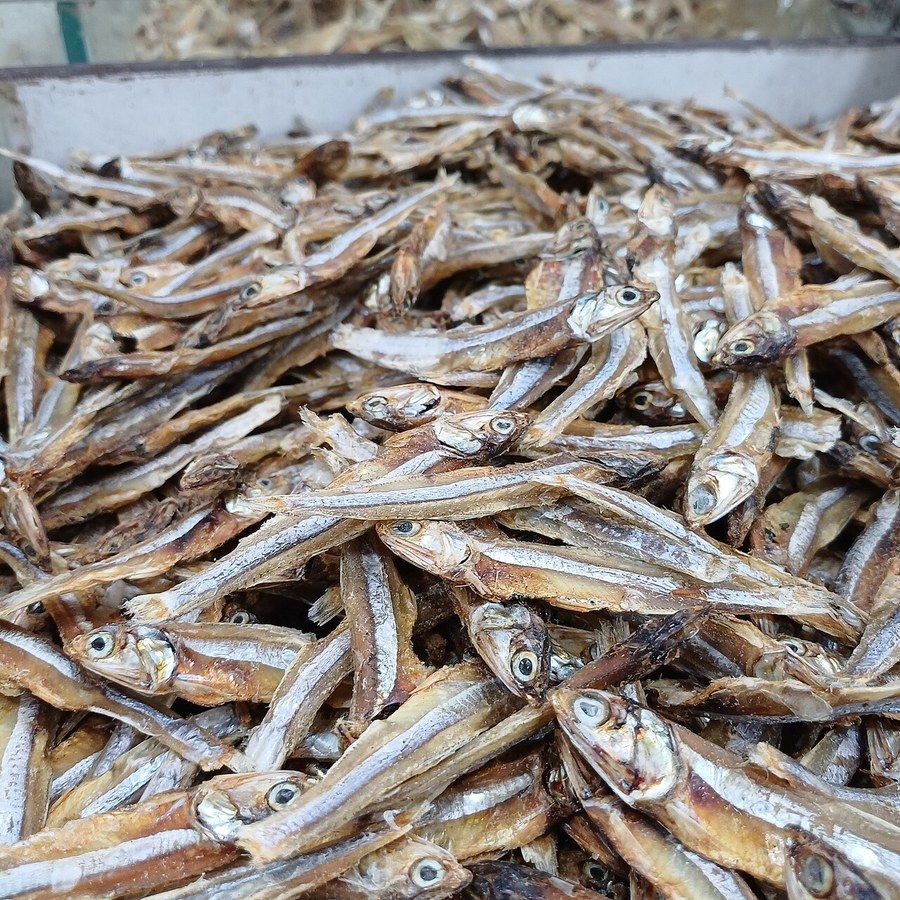 멸치 사진
