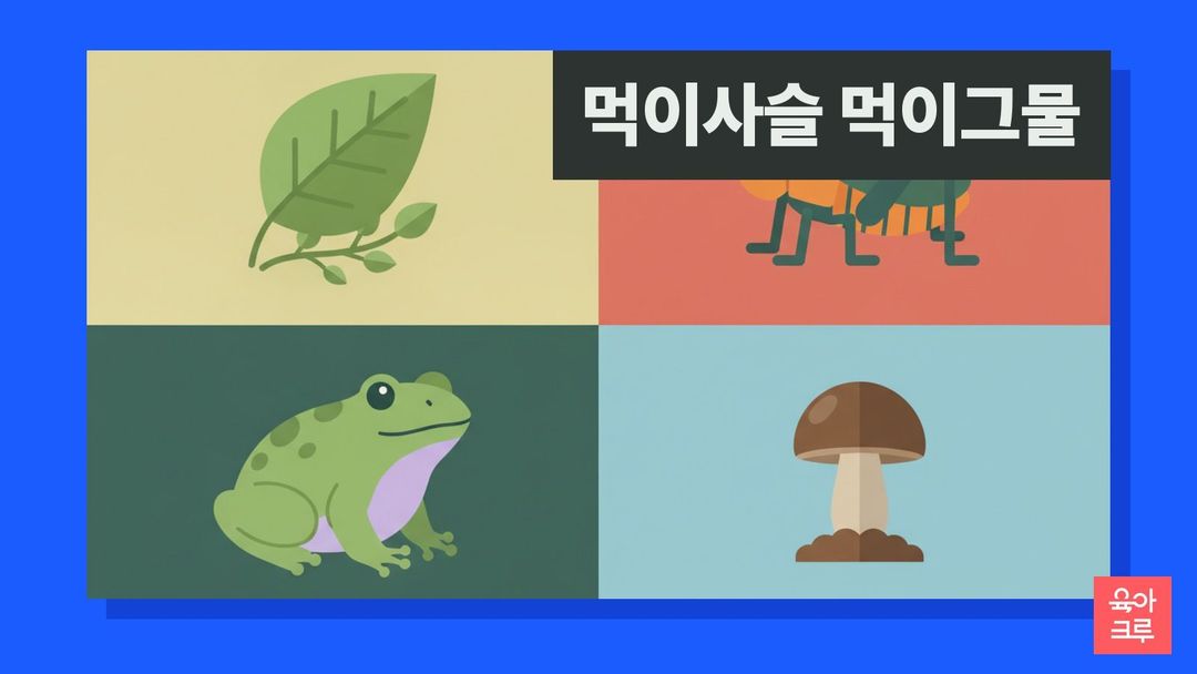 먹이사슬 먹이그물 일러스트, 나뭇잎과 곤충 장난감, 버섯 모형과 공책