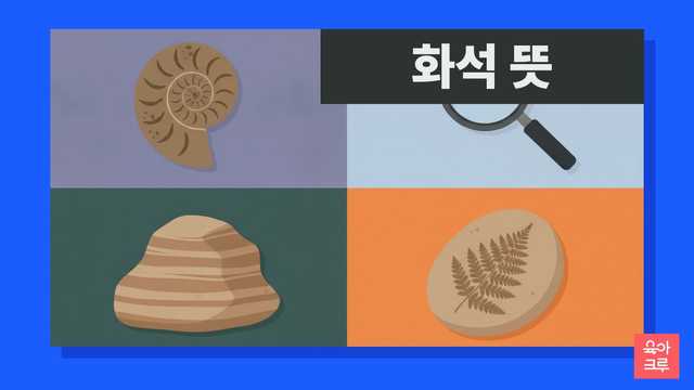 화석 뜻 일러스트, 암모나이트 화석과 돋보기, 층이 보이는 돌