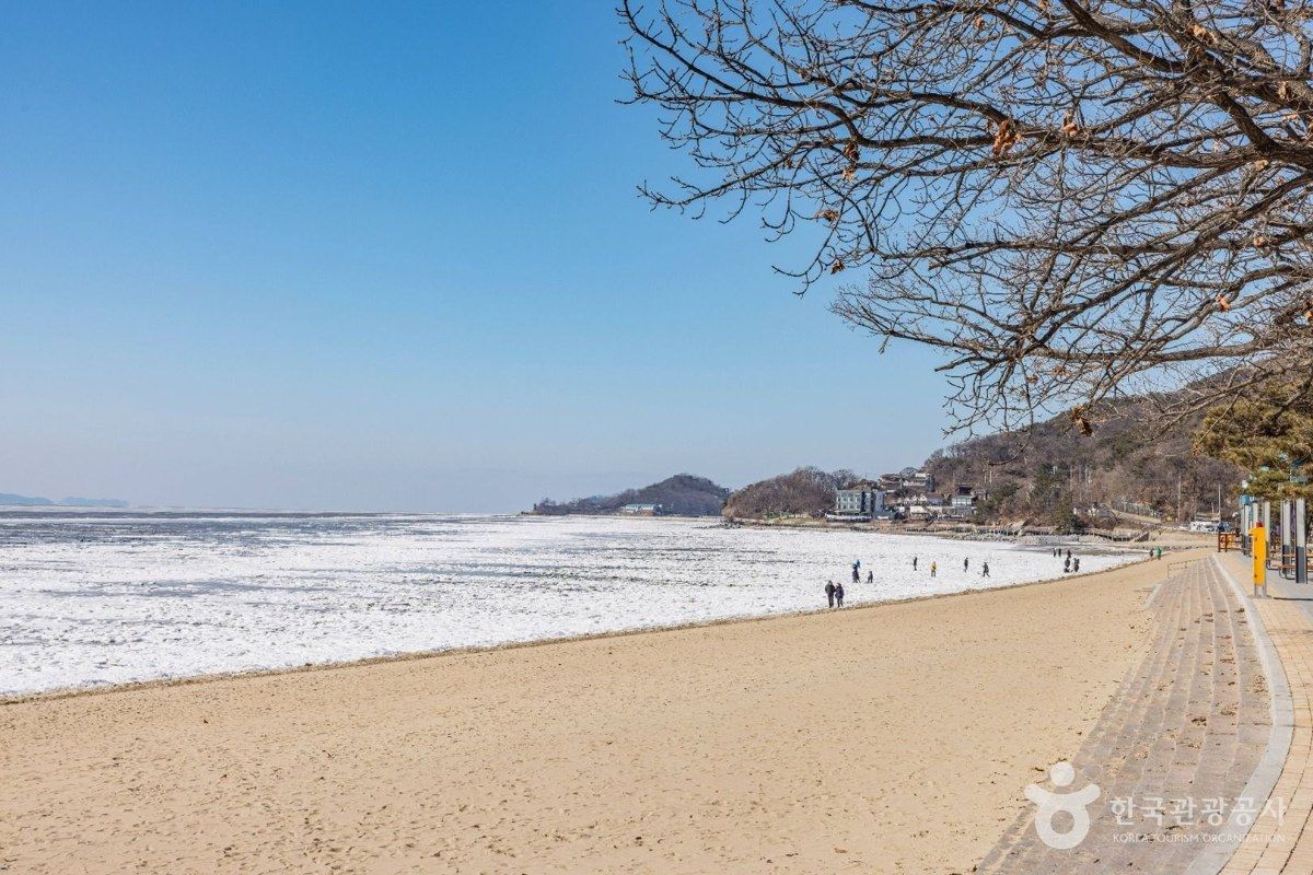동막해변 전경