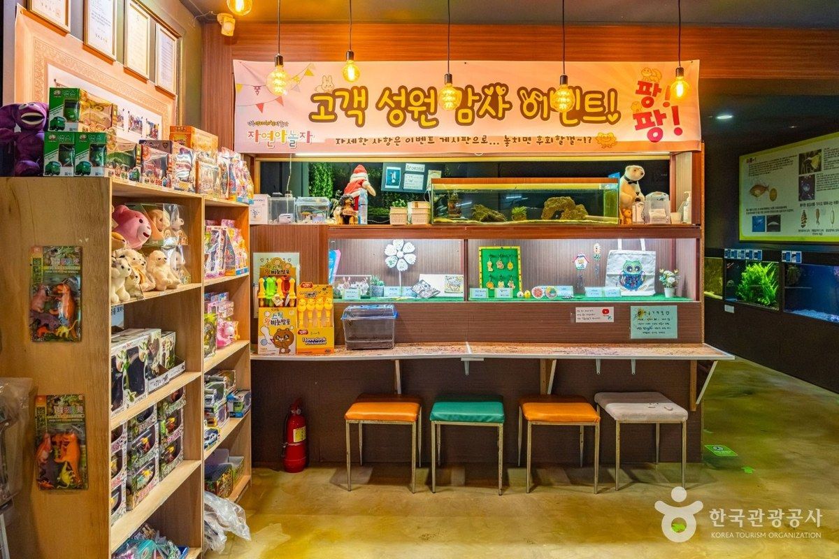 강릉생태체험박물관 자연아놀자 전경