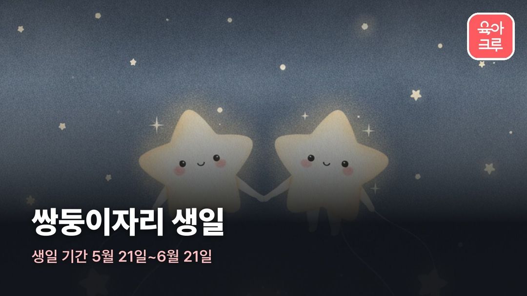 쌍둥이자리 커버 일러스트