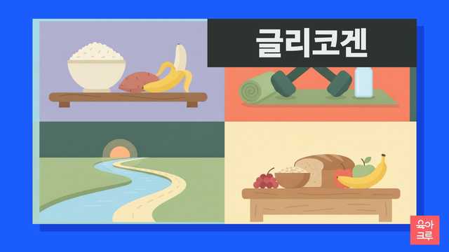 글리코겐 일러스트
