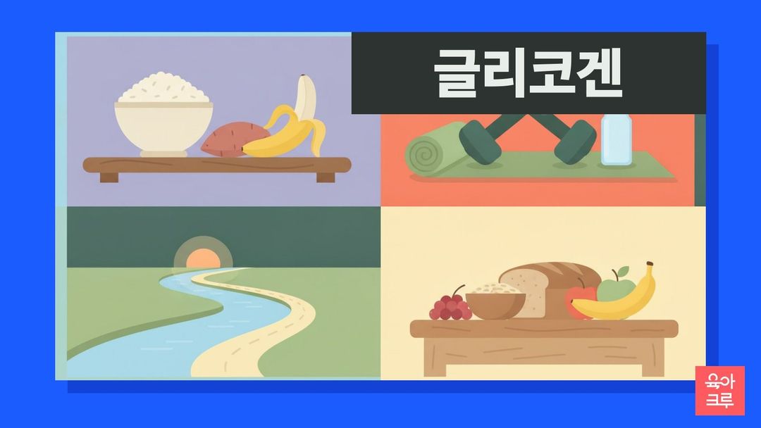 글리코겐 일러스트