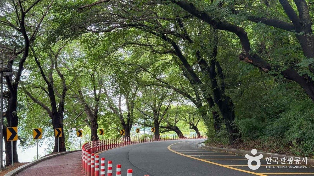 은파호수공원 전경