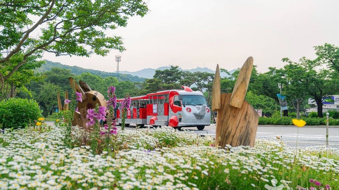 경기도 동물원 서울대공원