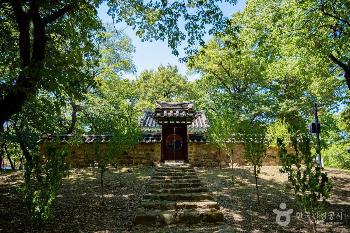 자인 계정숲 전경