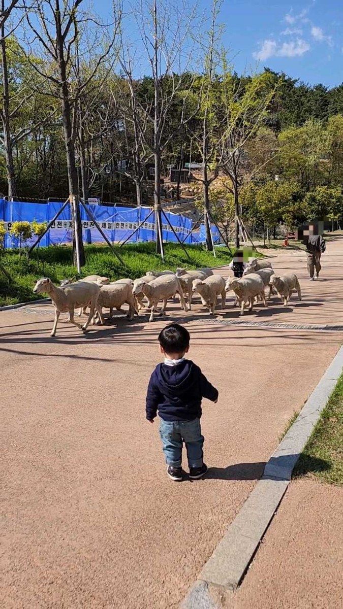 해운대수목원 양 방목장 가는 길
