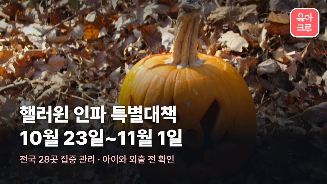 핼러윈 인파 특별대책기간 10월 23일~11월 1일, 전국 28곳 중점관리 지역과 아이와 외출 전 안전수칙
