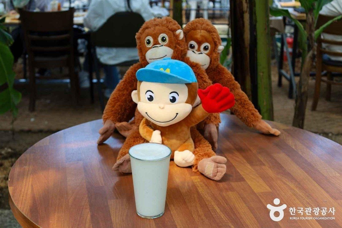 함평바나나생태나라 전경