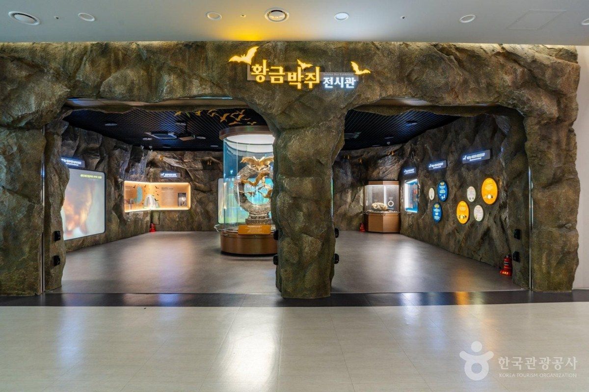 황금박쥐특별전시관 전경