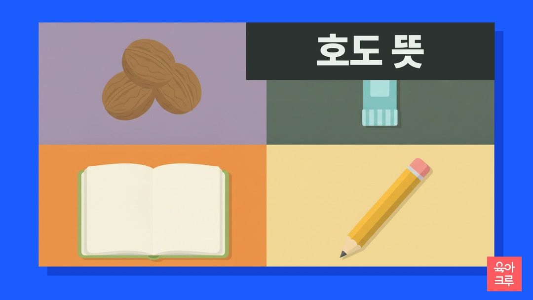 호도 뜻 일러스트, 호두 몇 알과 풀통, 공책