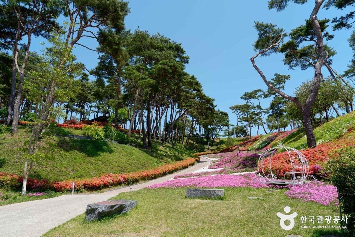 홍성솔바람테마파크 전경