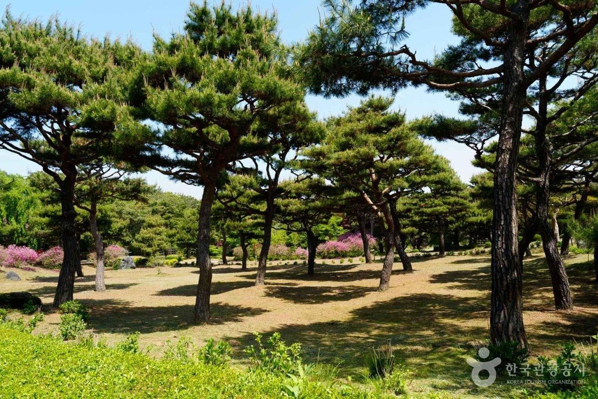 그림같은 수목원(그림이 있는 정원) 전경