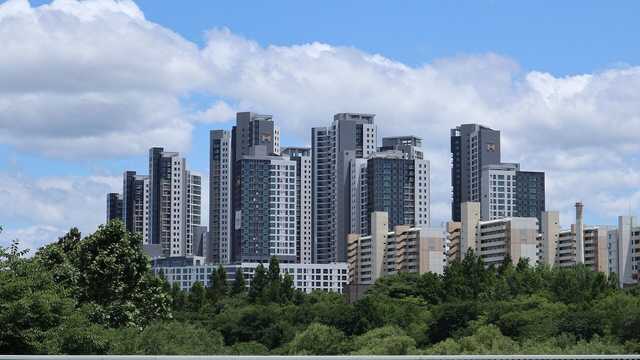 숲 너머로 솟은 고층 아파트 단지와 파란 하늘