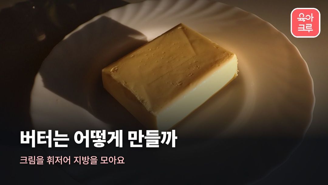 버터 만드는 과정 커버 사진
