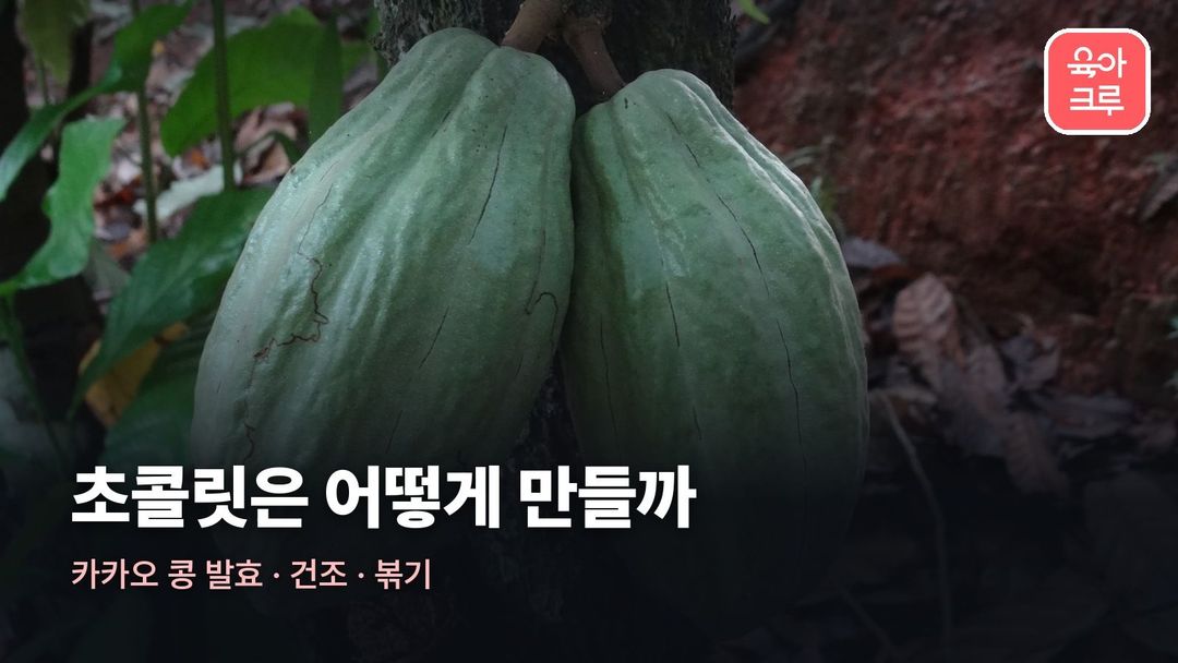 초콜릿 만드는 과정 커버 사진