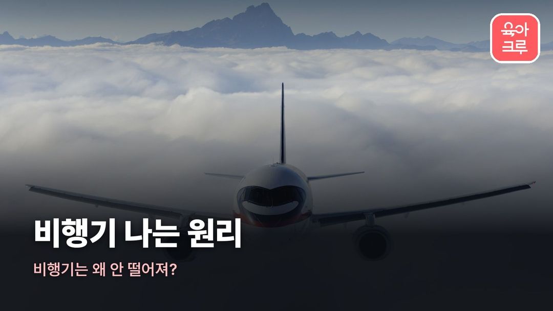 비행기 나는 원리 커버 사진