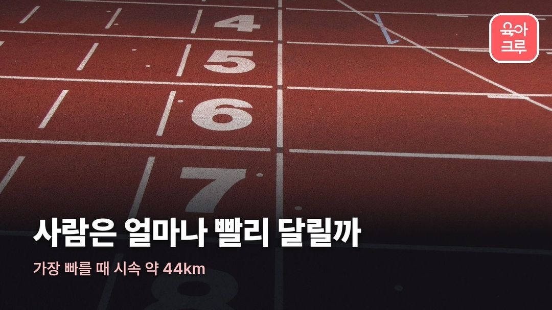 사람 달리기 속도 커버 사진