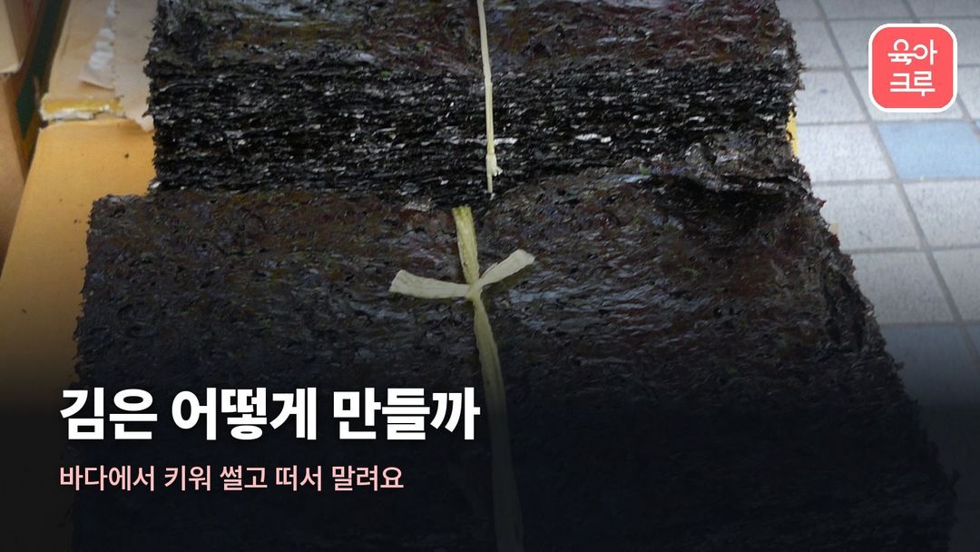 김 만드는 과정 커버 사진