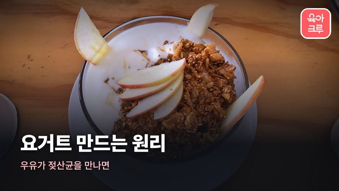 요거트 만드는 원리 커버 사진