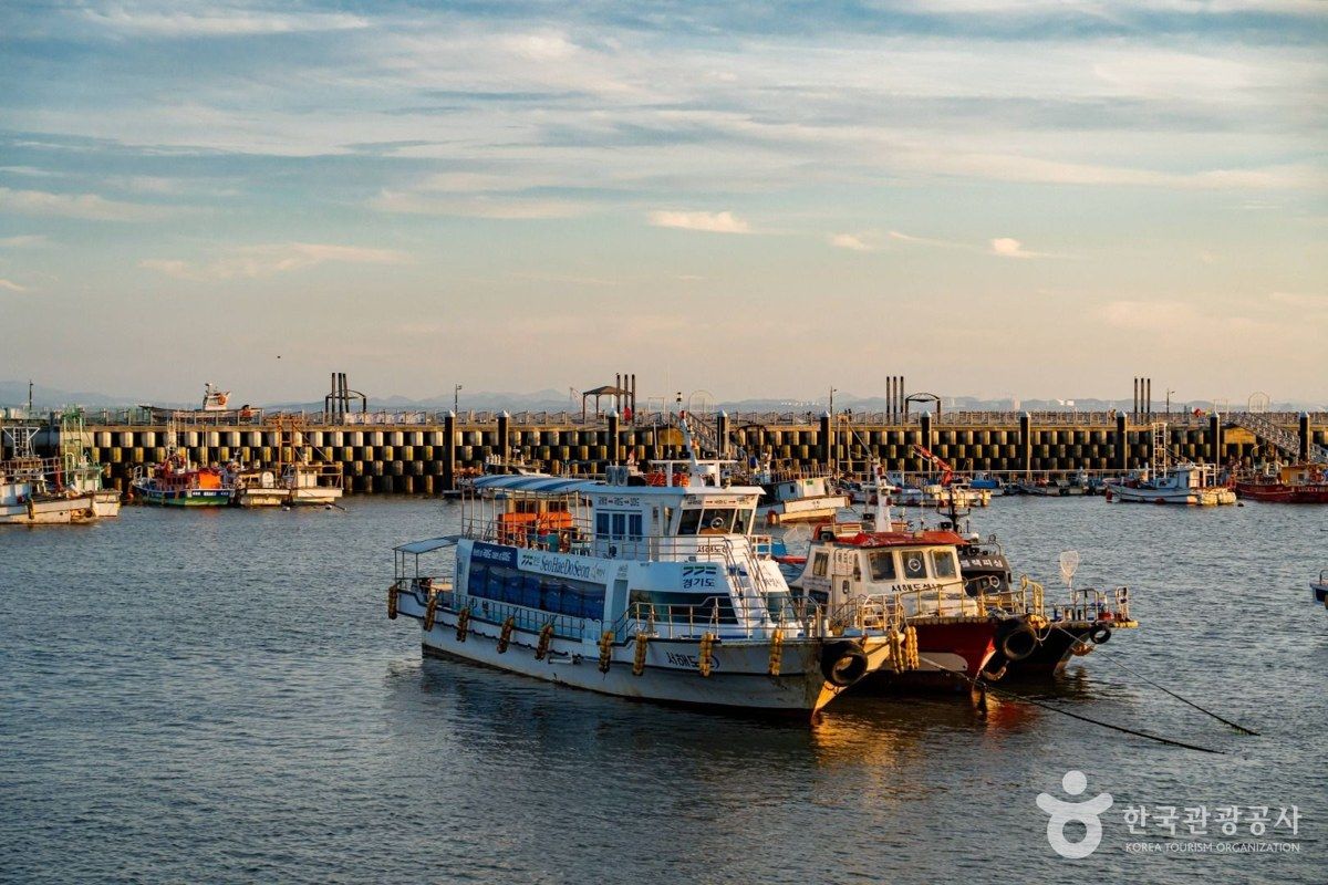 궁평항 전경