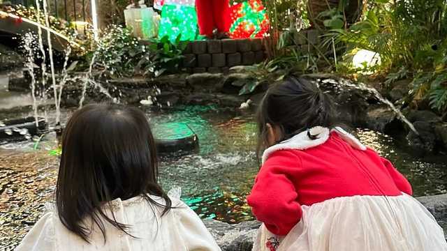 포레스트아웃팅스 일산본점 실내 연못을 보는 아이들