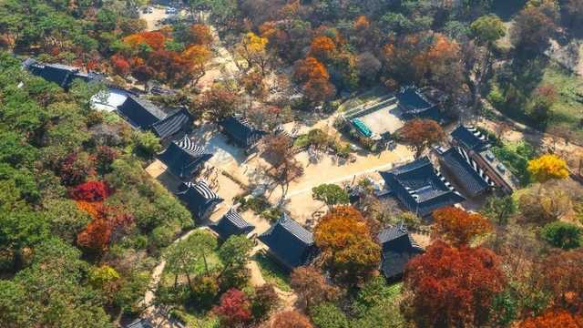 붉고 노랗게 물든 나무 사이 전등사 가람을 위에서 본 모습
