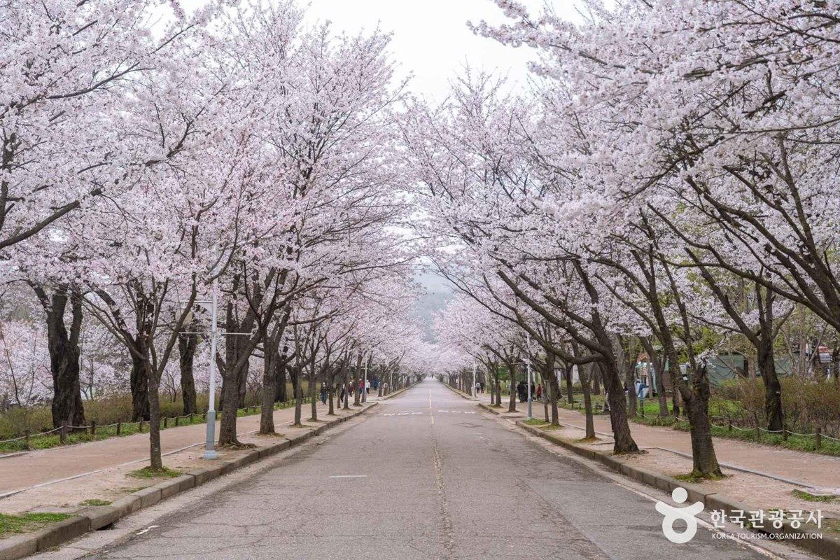 인천대공원 전경