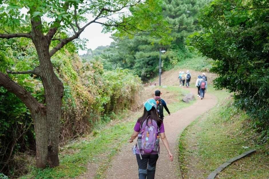 제주올레걷기축제 올레길을 걷는 참가자