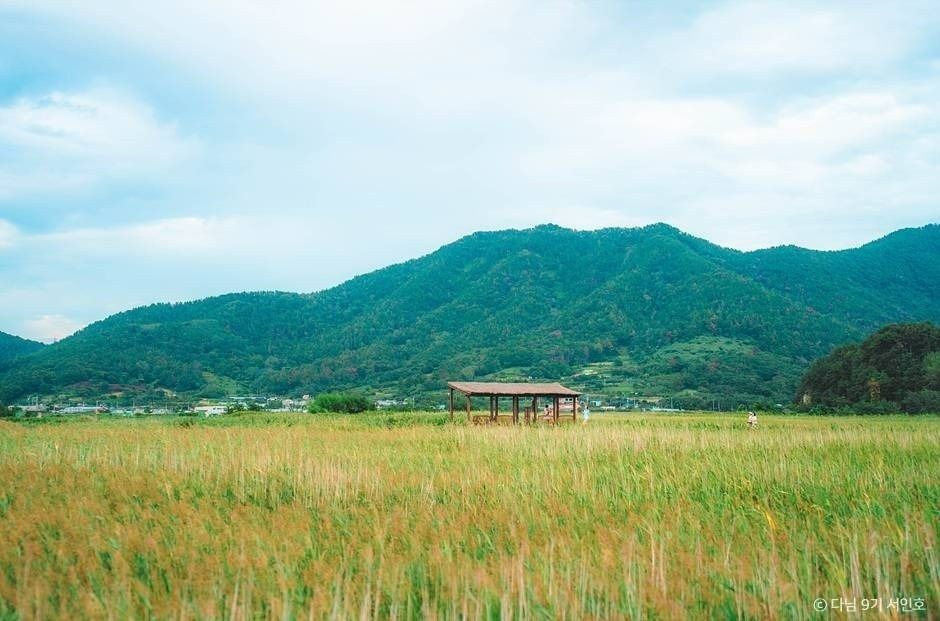 순천만습지 전경