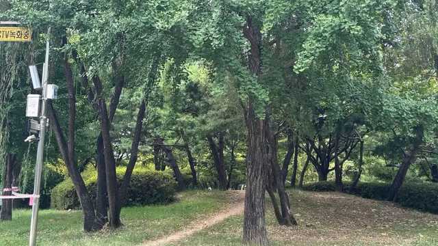 인천 부평공원 잔디밭과 나무