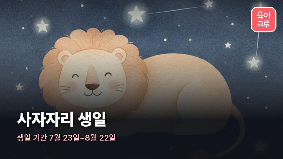 사자자리 커버 일러스트