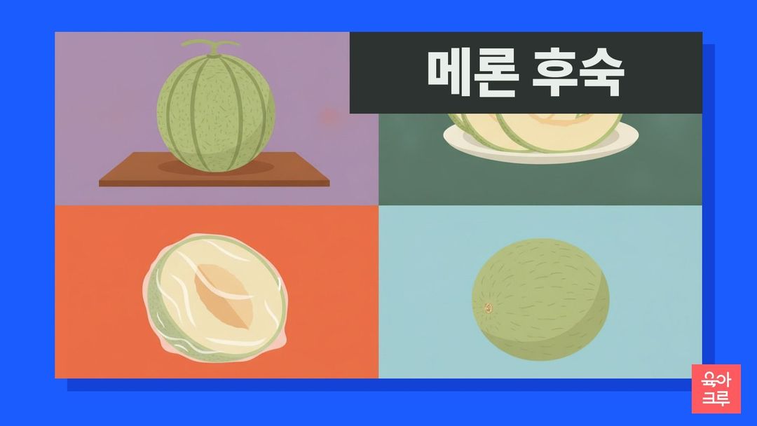메론 후숙 일러스트, 그물무늬 멜론과 조각배 모양으로 자른 멜론