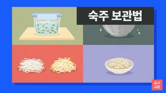 숙주 보관법 일러스트, 물에 담근 숙주가 든 밀폐용기