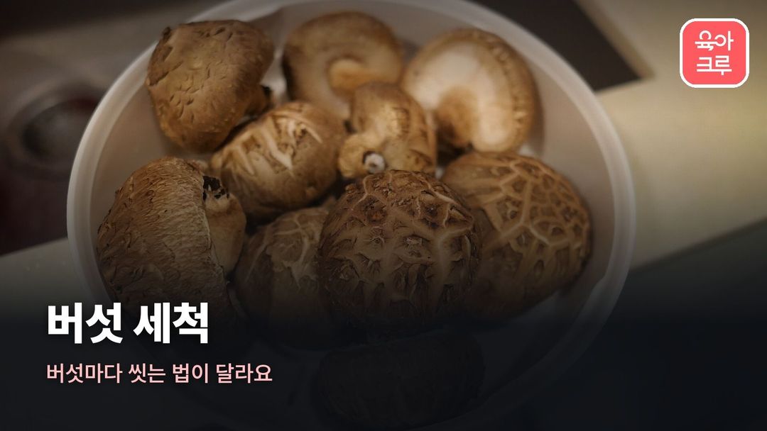 흰 그릇에 담긴 표고버섯 실사 사진