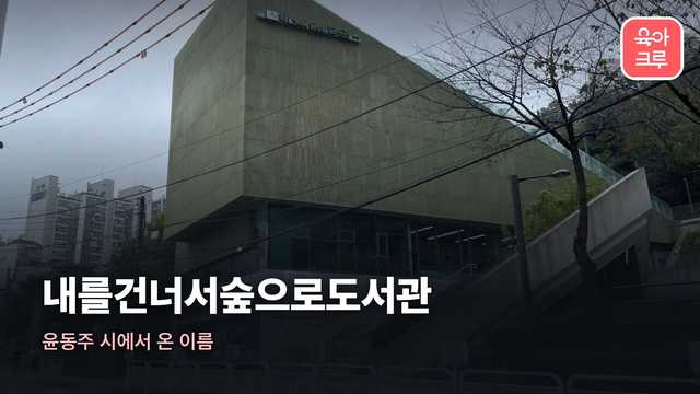 내를건너서숲으로도서관 커버 이미지