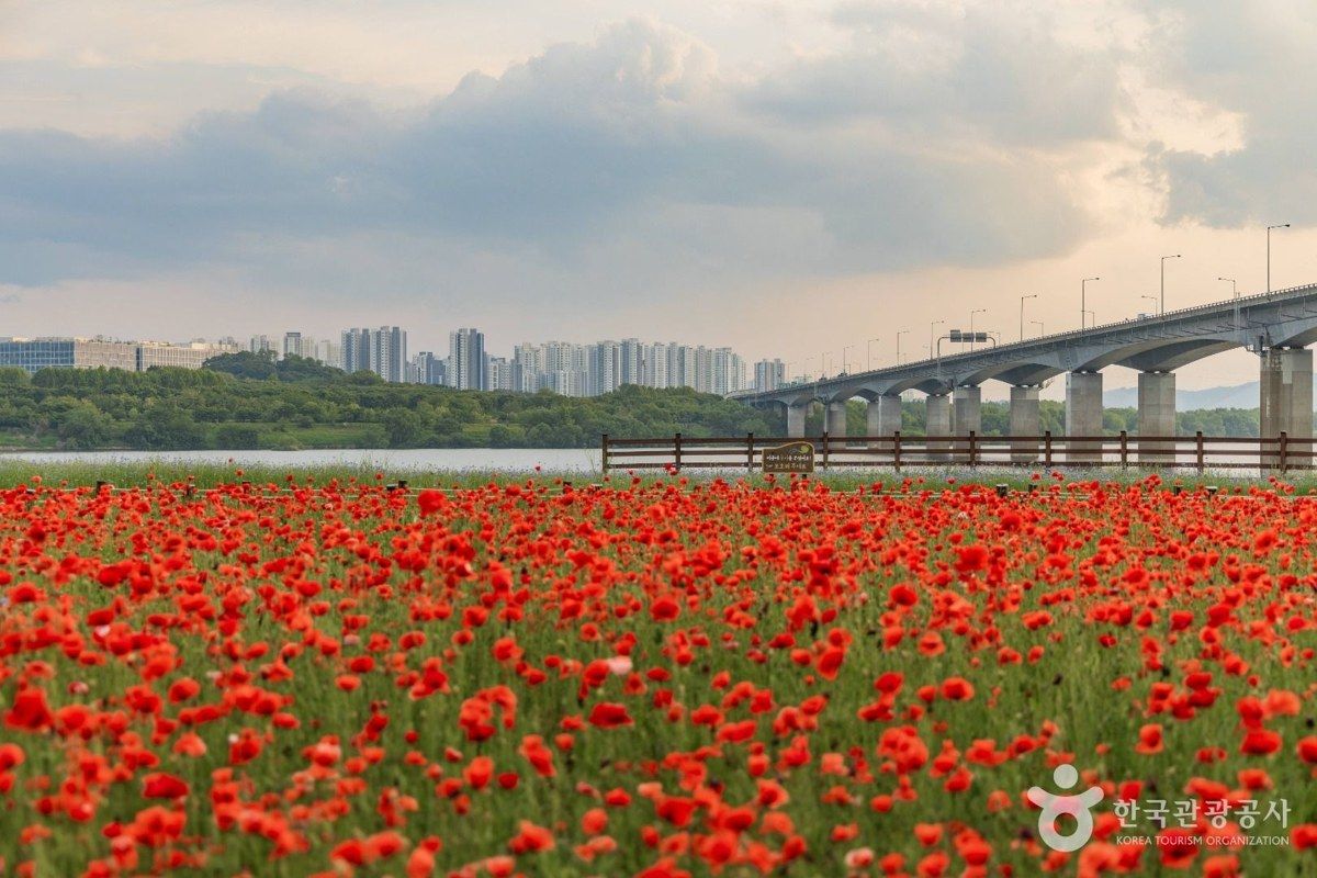 남양주한강공원 전경