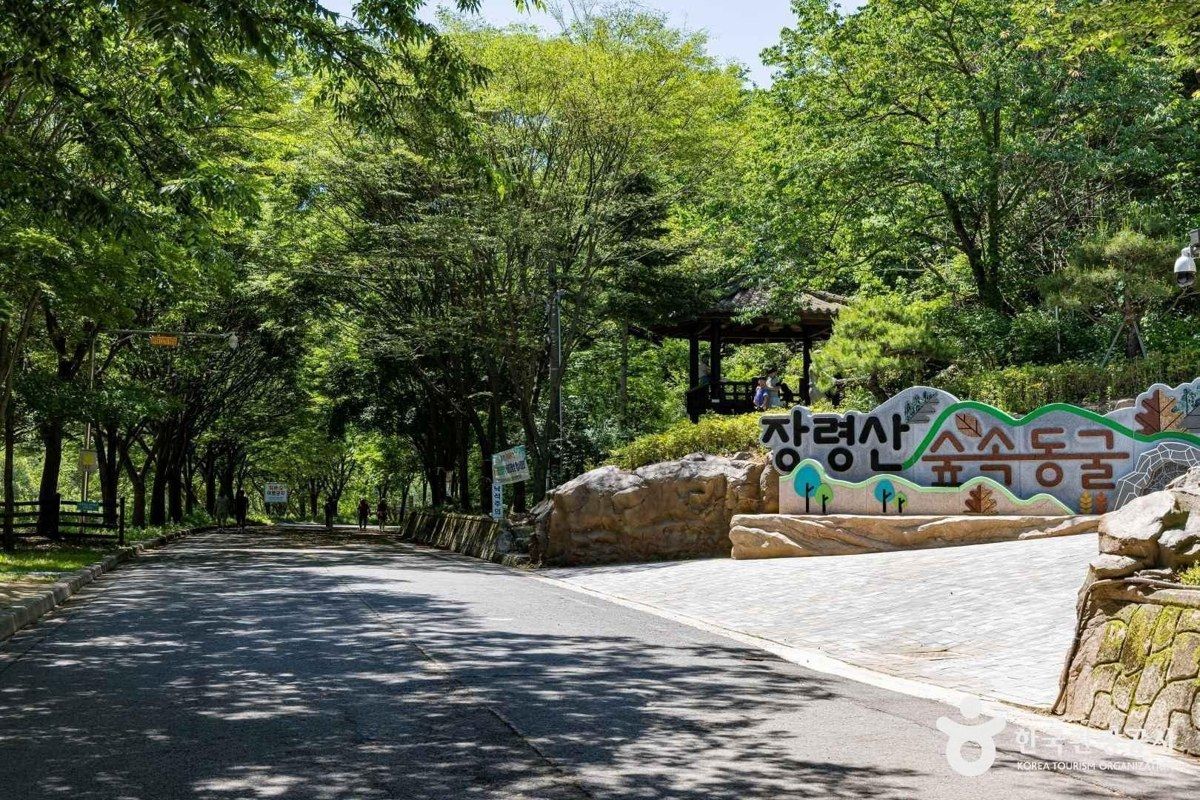 장령산자연휴양림 전경