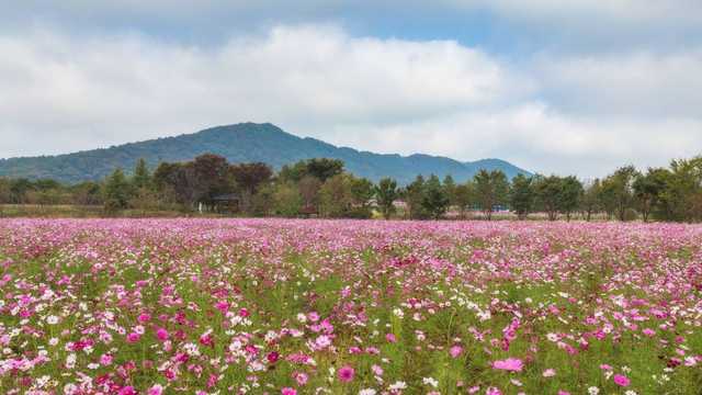 파주 가을 가볼만한곳 율곡습지공원