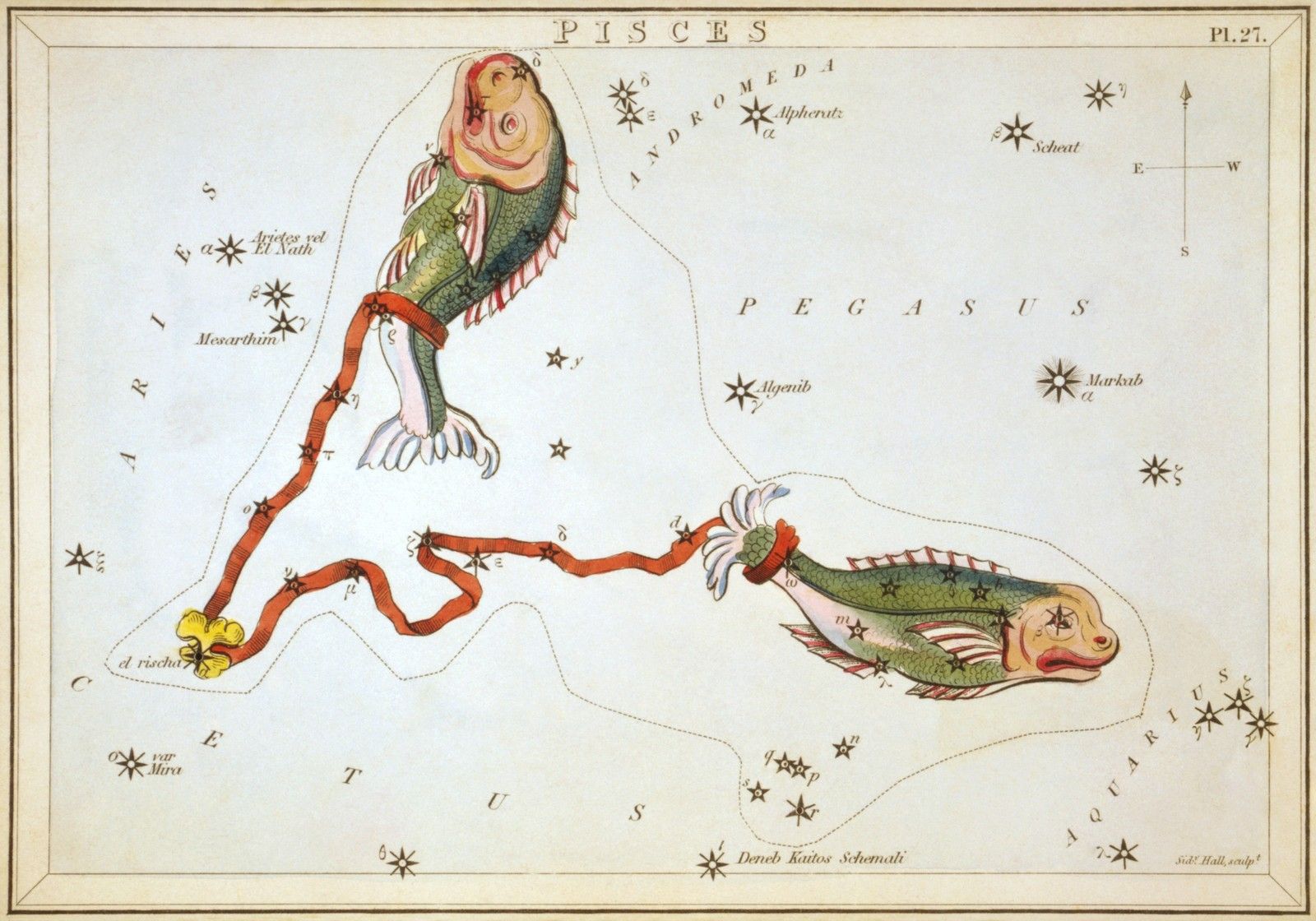 옛 별자리 그림책(1825년)에 그려진 물고기자리