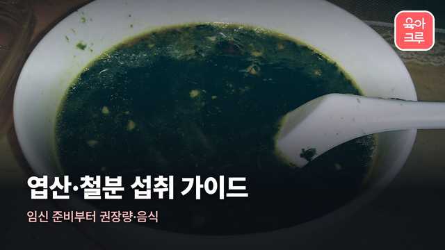 엽산·철분 섭취 가이드