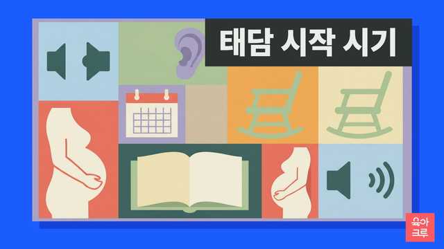 주차별 태담 시작 시기 안내 그리드 일러스트
