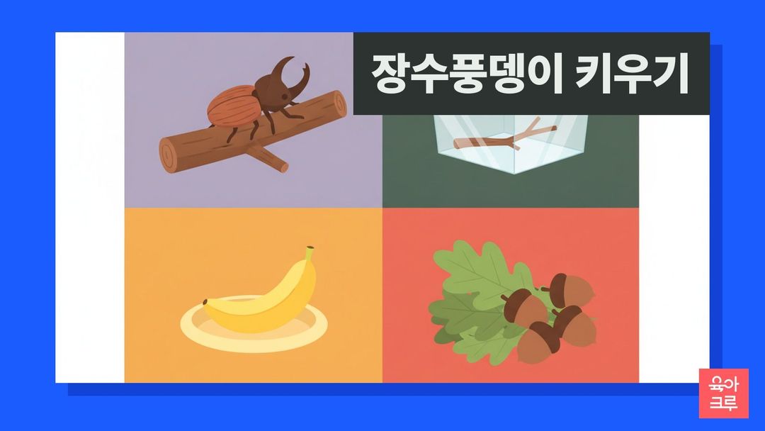 장수풍뎅이 키우기 일러스트, 투명 사육통과 나뭇가지, 곤충 젤리 접시