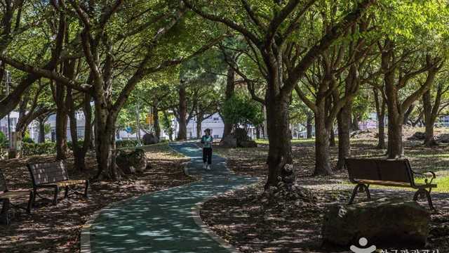 신산공원(제주시) 커버