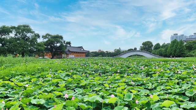 전주 덕진공원 커버