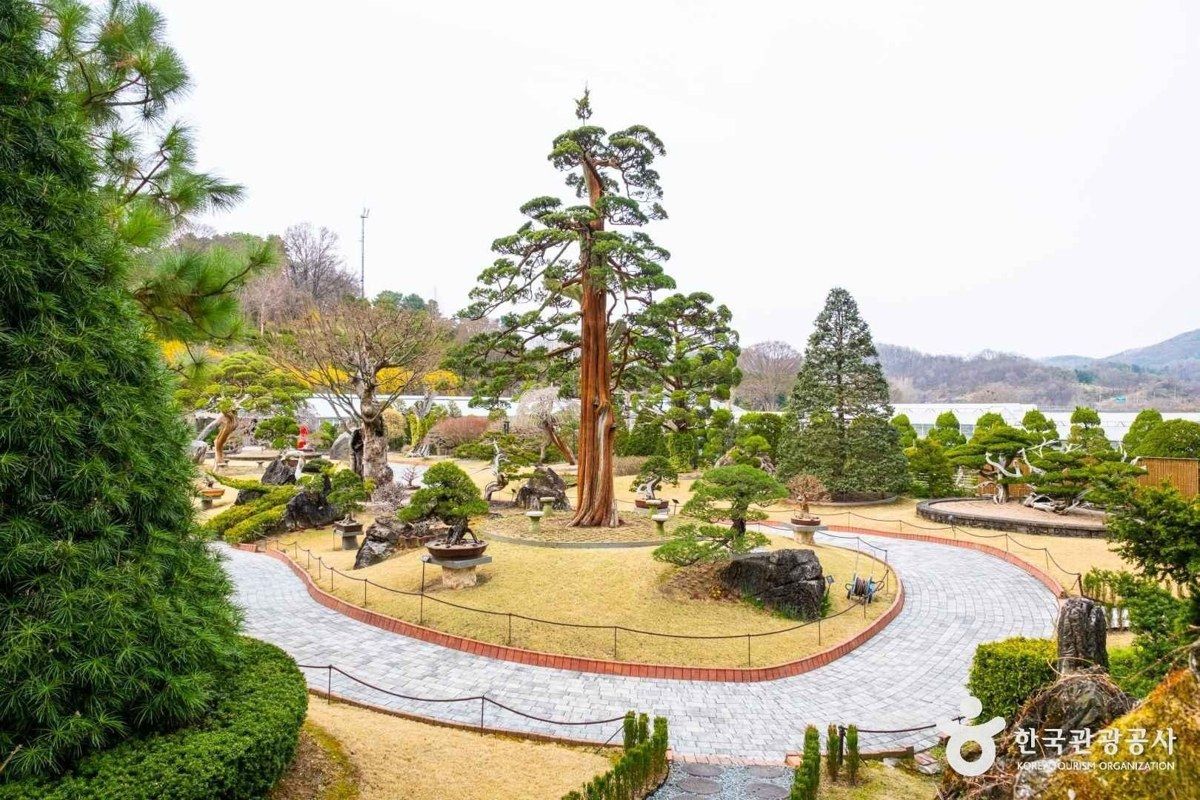 베어트리파크 전경