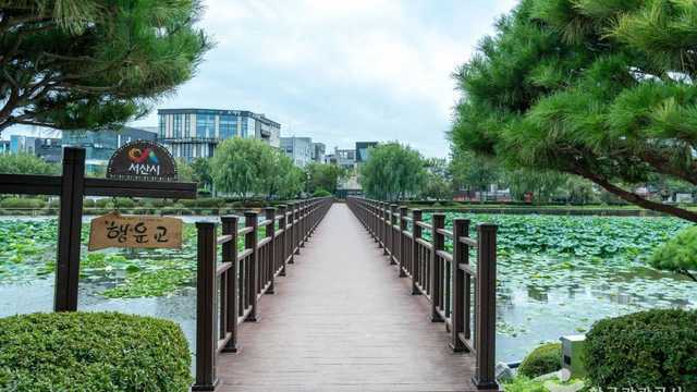 서산 가볼만한곳 중앙호수공원(서산)