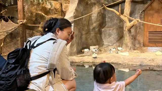 주렁주렁에서 동물을 보는 아기
